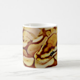 Caneca De Café O pitão amarelo da bola fecha-se realmente acima