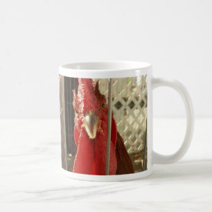 Caneca De Café O que você está olhando?