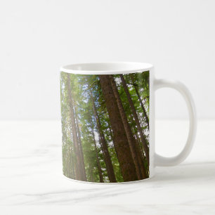Caneca De Café Olhando para a Floresta Primária