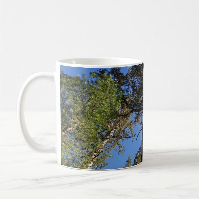 Caneca De Café Olhando para cima em Mariposa Grove (Esquerda)