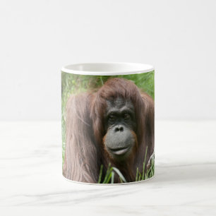 Caneca De Café Orangutan