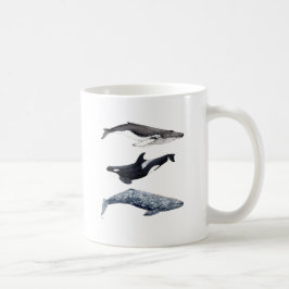Caneca De Café Orca, ballena jorobada y ballena gris