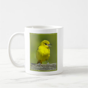 Caneca De Café Orchard Oriole - Fotografia Original