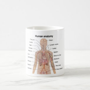 Caneca De Café Organograma Interno de Anatomia do Corpo Humano