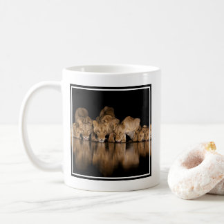 Caneca De Café Orgulho de Leões Bebe no Buraco de Água à Noite