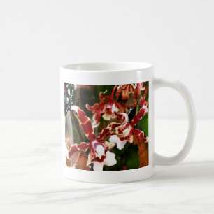 Caneca De Café Orquídea