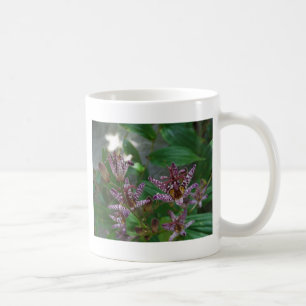 Caneca De Café Orquídea branca-rosa-púrpura, listrada, como uma f