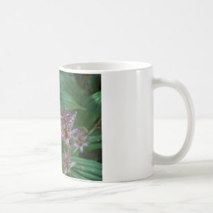 Caneca De Café Orquídea branca-rosa-púrpura, listrada, como uma f