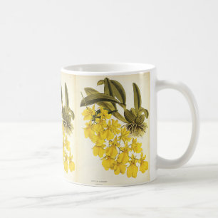 Caneca De Café Orquídea de Oncidio Amarelo Vintage, Flores Tropic