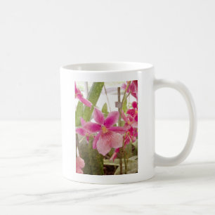 Caneca De Café Orquídea Rosa