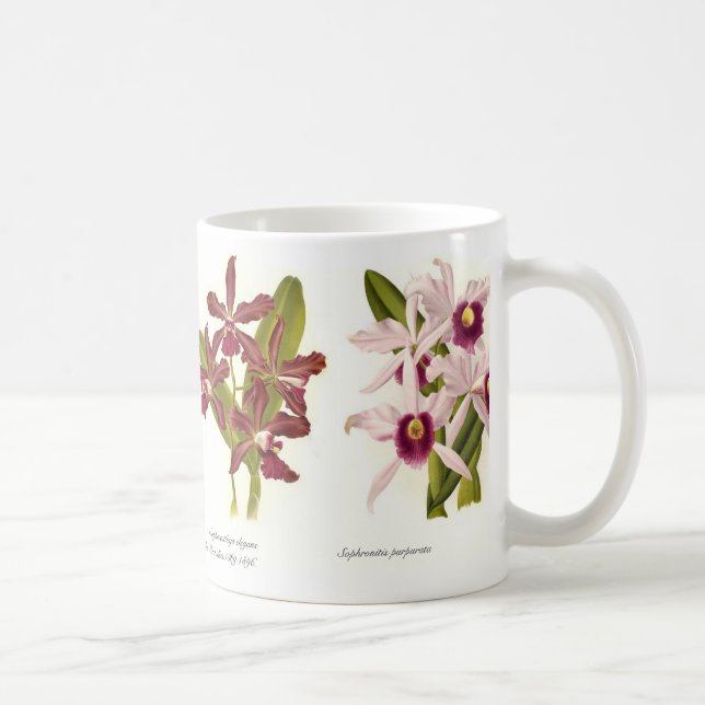 Caneca De Café Orquídeas (Direita)