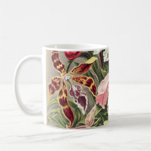 Caneca De Café Orquídeas, Orquídeas Denusblumen de Ernst Haecke