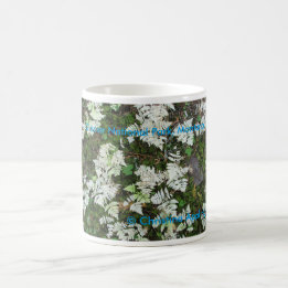 Caneca De Café Os Ferns no Glacier National Park, Montana Mug