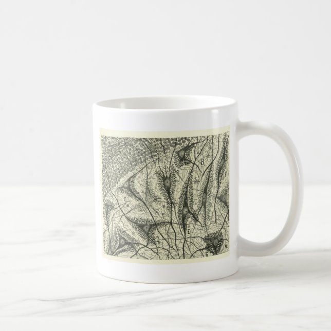 Caneca De Café Os neurônios 4 de Cajal (Direita)