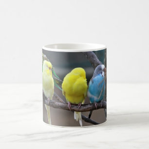 Caneca De Café Os Parakeets coloridos brilhantes Budgies repetem