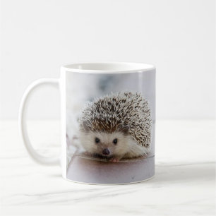 Caneca De Café ouriço