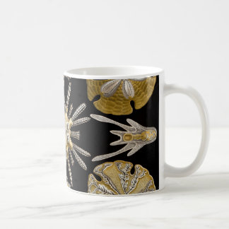 Caneca De Café Ouriços-do-mar de Ernst Haeckel Echinidea