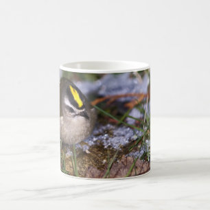 Caneca De Café Ouro-coroado Kinglet Mugs