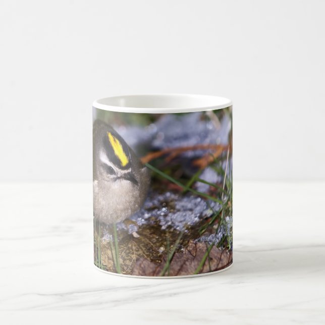Caneca De Café Ouro-coroado Kinglet Mugs (Centro)