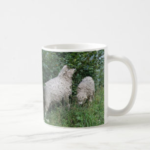 Caneca De Café Ovelhas Geladas Deixam Cama