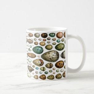 Caneca De Café Ovos para o pequeno almoço?
