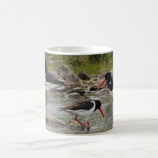 Caneca De Café Oystercatchers Mug (Centro)