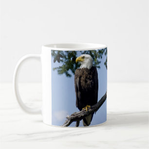 Caneca De Café Pai da Águia