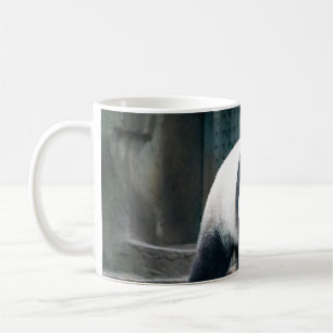 CANECA DE CAFÉ PAINDA DE ANDAMENTO FRENTE DA CONSTRUÇÃO CONCRET