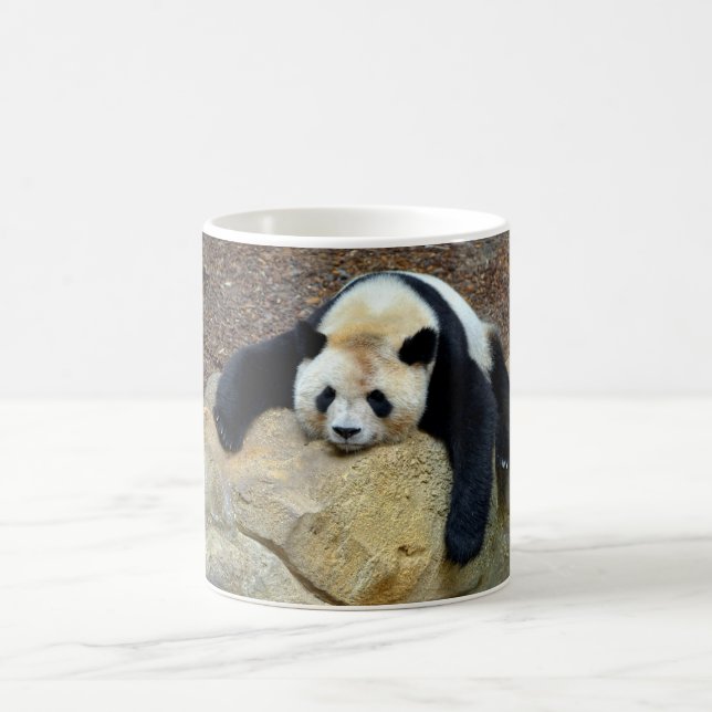 Caneca De Café Panda gigante adormecida bateu numa pedra (Centro)