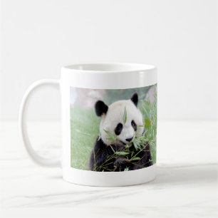 Caneca De Café Panda gigante da foto de Mugs. Panda Gant.