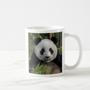 Caneca De Café Panda jovem feliz, China