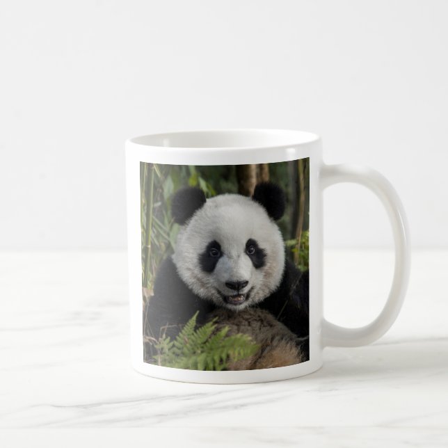 Caneca De Café Panda jovem feliz, China (Direita)