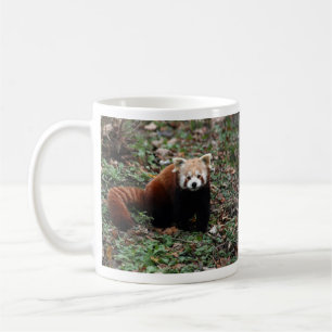 Caneca De Café Panda vermelha