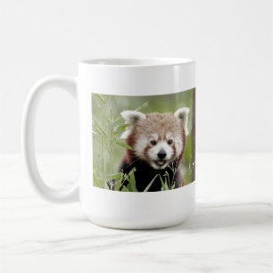 Caneca De Café Panda vermelha de fotos de candas. Panda roux. ani