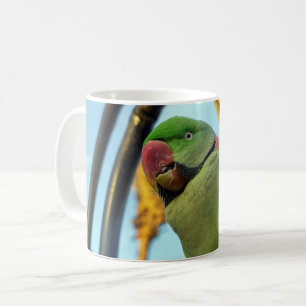 Caneca De Café Papagaio