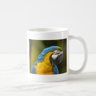 Caneca De Café Papagaio