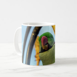 Caneca De Café Papagaio