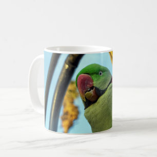 Caneca De Café Papagaio