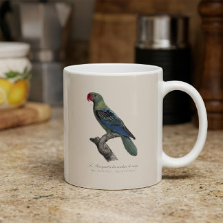 Caneca De Café Papagaio-de-bico-largo, Tanygnathus Megalorynchos