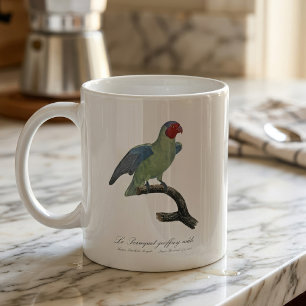 Caneca De Café Papagaio-de-bochecha-vermelha-macho, Geoffroyus ge