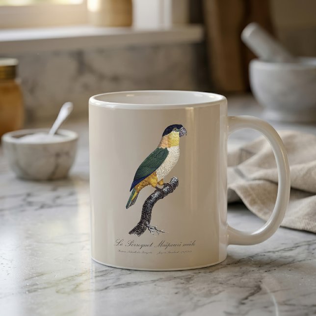 Caneca De Café Papagaio de Cabeça Preta Macho, Pionites Melanocep (Black-Headed Male Parrot, Pionites Melanocephalus. Coffee Mug)