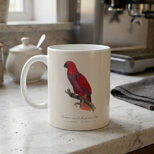 Caneca De Café Papagaio Eclectus de Vosmaer, Eclectus Roratus Vos