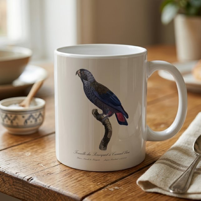 Caneca De Café Papagaio-escuro, Pionus fuscus (Dusky Parrot or Dusky Pionus, Pionus fuscus. Coffee Mug)