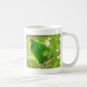 Caneca De Café Papagaio masculino de Eclectus