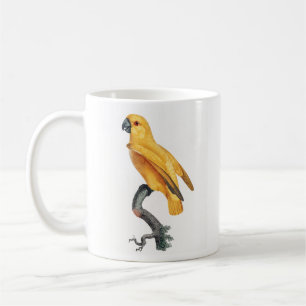 Caneca De Café Papagaio Senegal