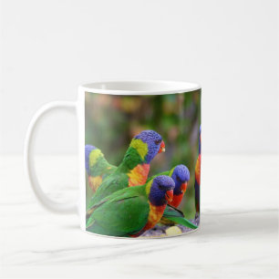 Caneca De Café Papagaios Lorikeet de Arco-Íris Coloridos Comendo