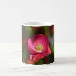 Caneca De Café Papoila cor-de-rosa na fotografia da luz do sol