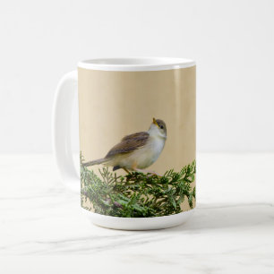Caneca De Café Pardal