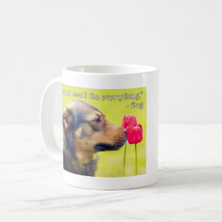 Caneca De Café Pare e Cheire Tudo