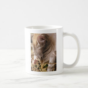 Caneca De Café Parem e cheirarem as flores